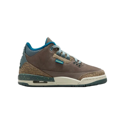 Air Jordan 3 GS « We Outside