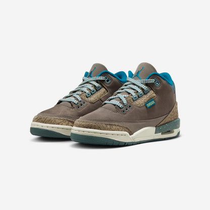 Air Jordan 3 GS « We Outside