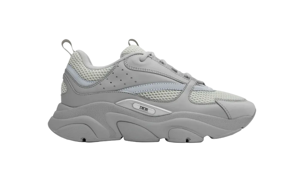DIOR B22 Grey