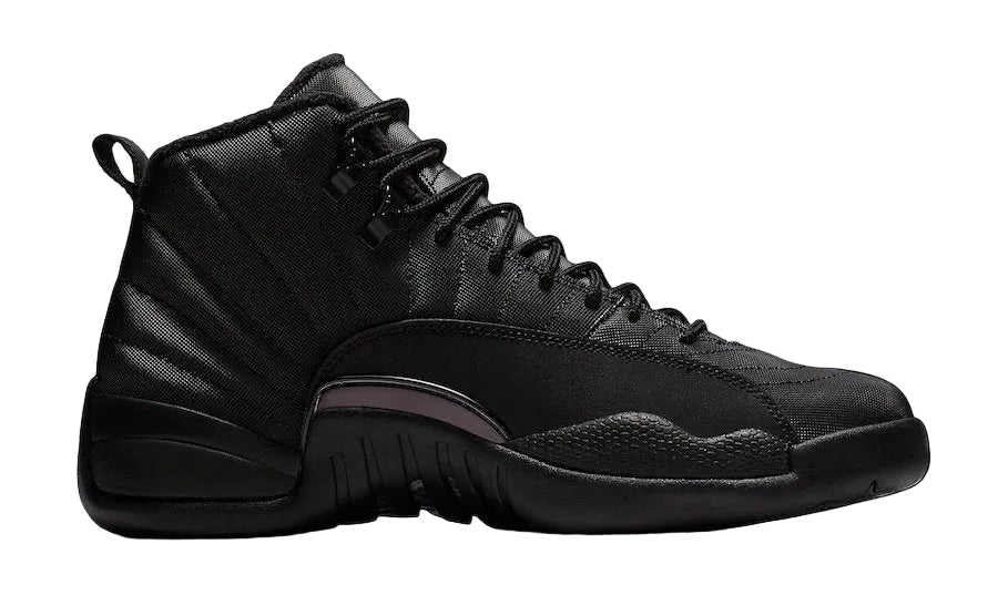Air Jordan 12 Winterized Black