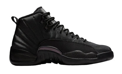 Air Jordan 12 Winterized Black