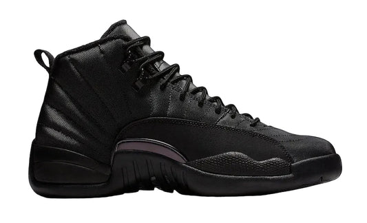 Air Jordan 12 Winterized Black