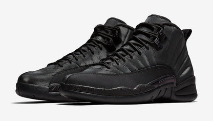 Air Jordan 12 Winterized Black