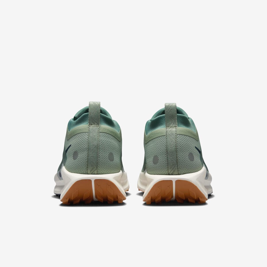 Nike Pegasus Trail 5 GORE-TEX